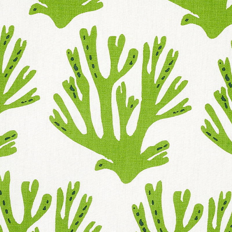 Schumacher 179101 CORAL in GREEN Fabric - MOLLY MAHON