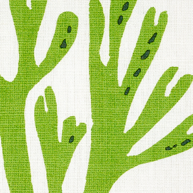 Schumacher 179101 CORAL in GREEN Fabric - MOLLY MAHON