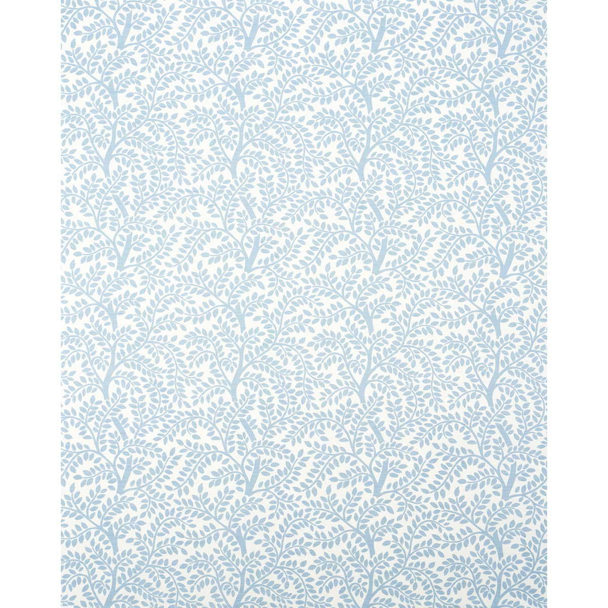 Eade’s SKY ON IVORY