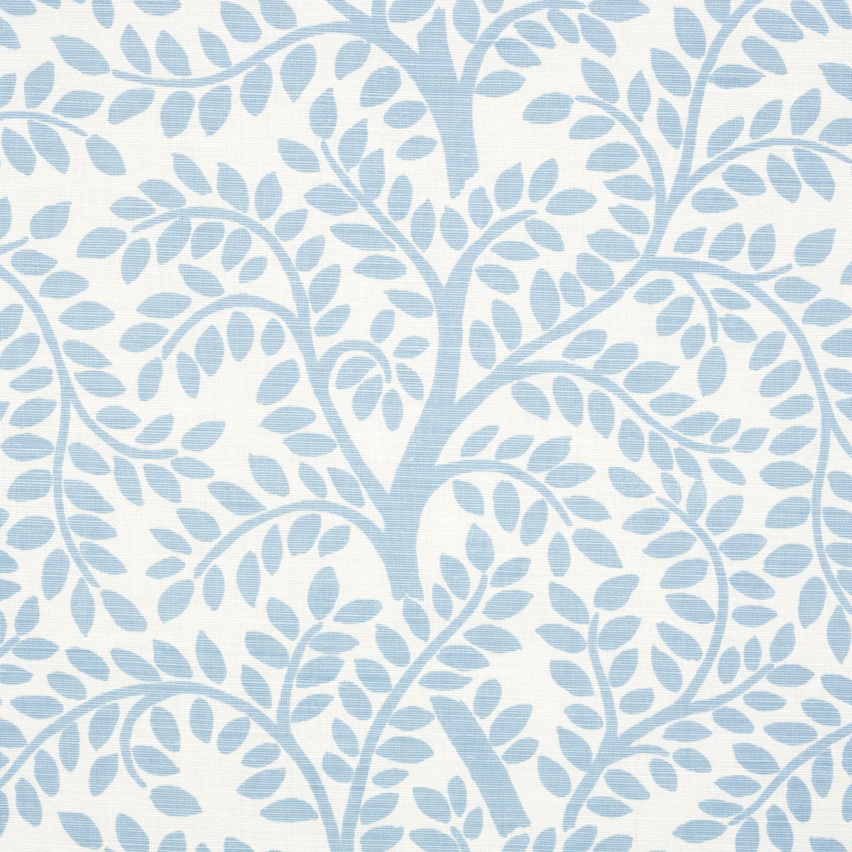 Eade’s SKY ON IVORY