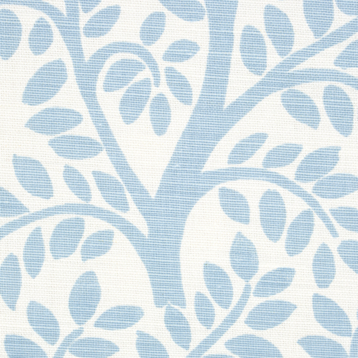 Eade’s SKY ON IVORY