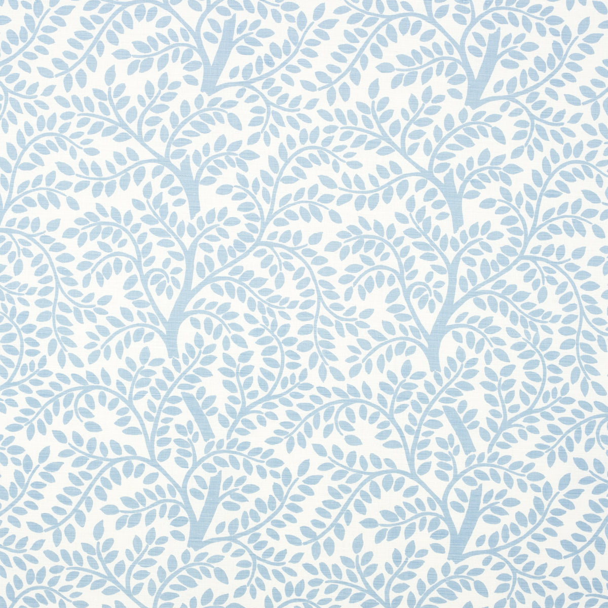 Eade’s SKY ON IVORY