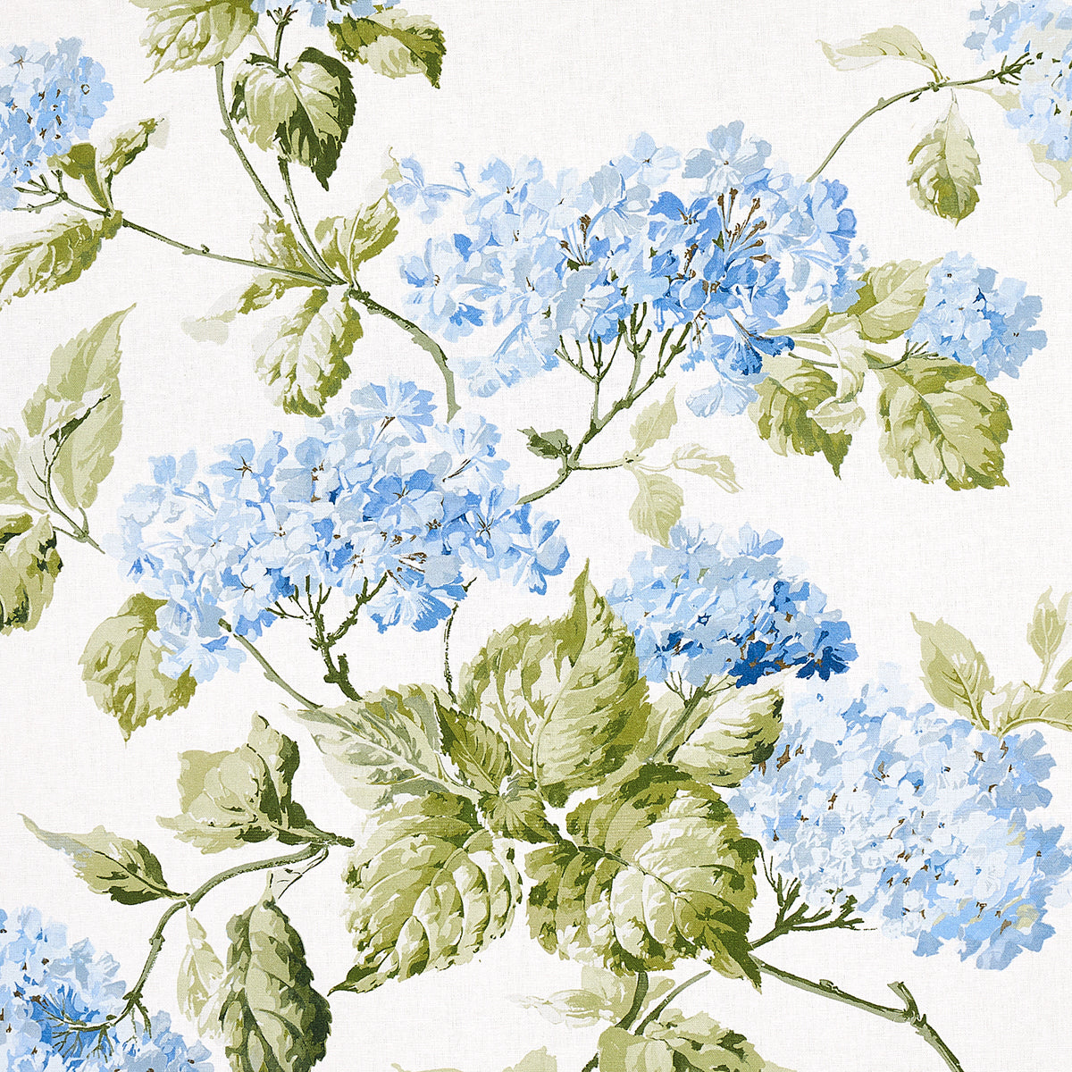 Eade’s BLUE HYDRANGEA