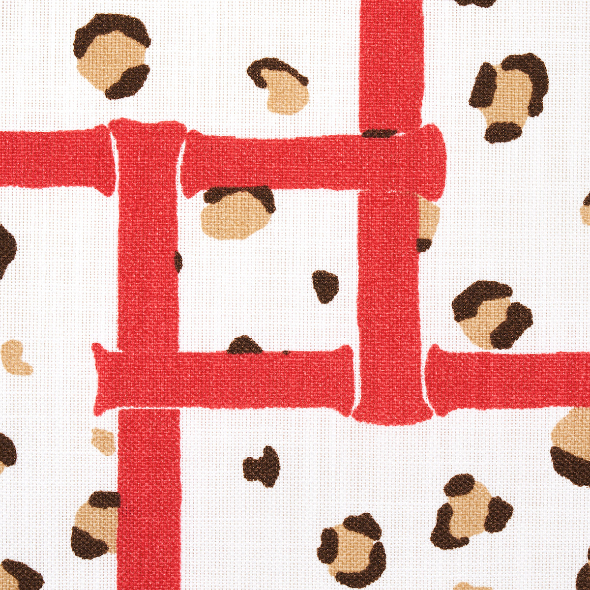 Eade’s CORAL CHEETAH