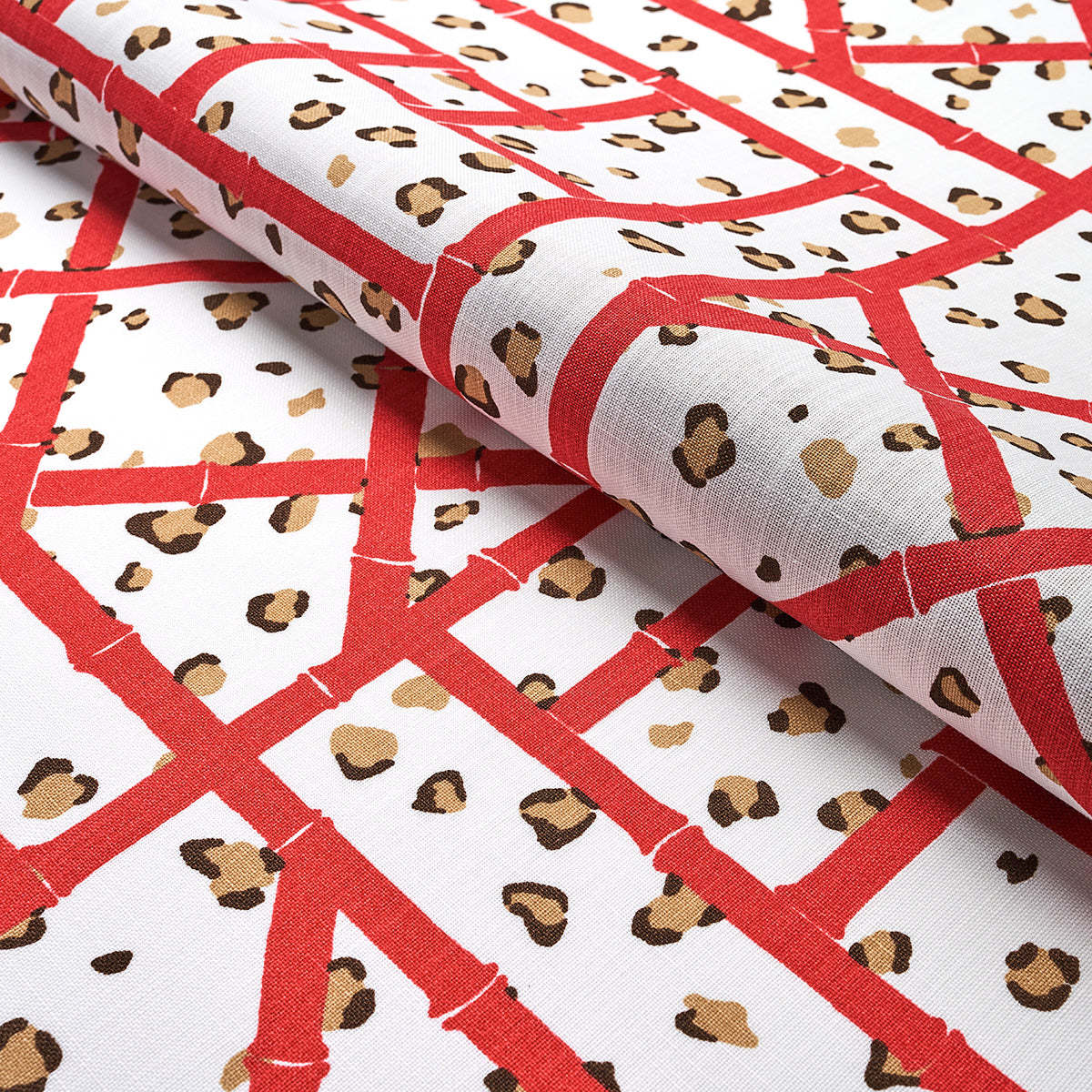 Eade’s CORAL CHEETAH