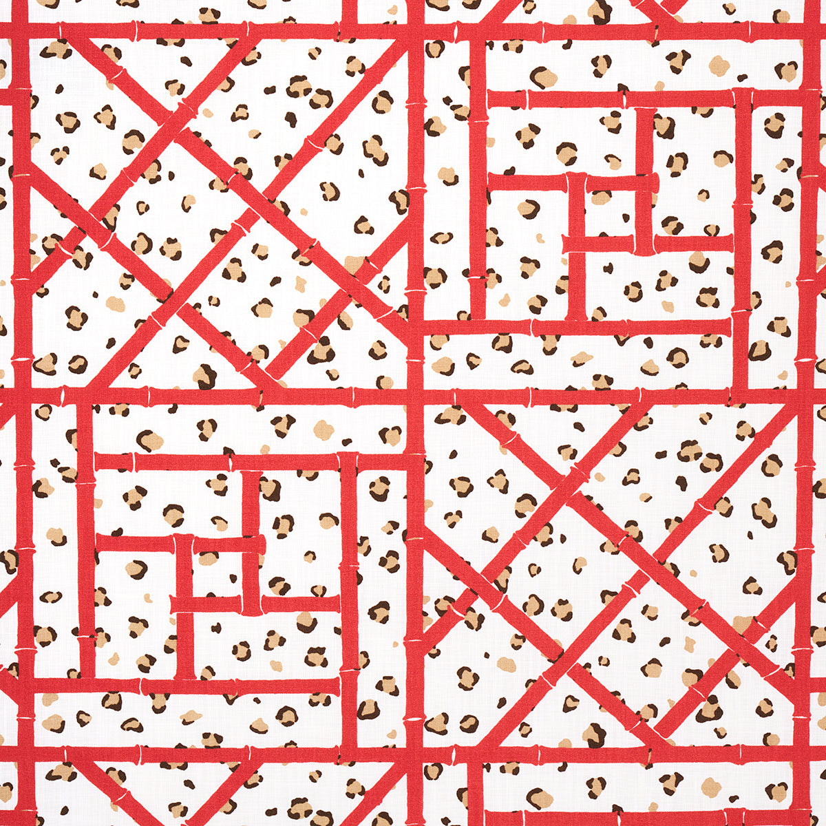 Eade’s CORAL CHEETAH