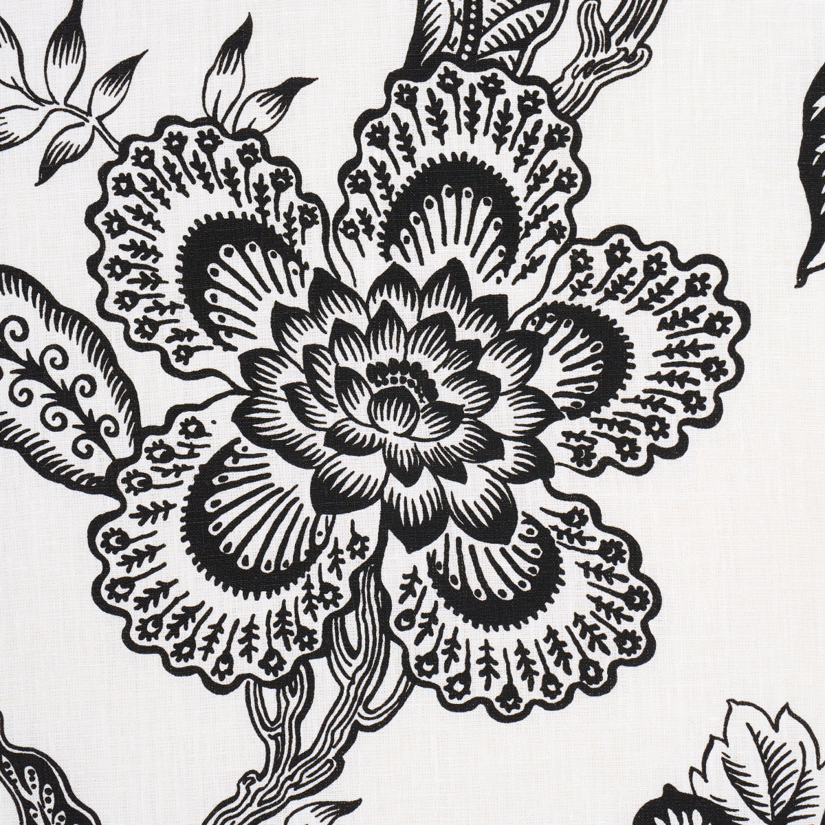 Eade’s BLACK & WHITE