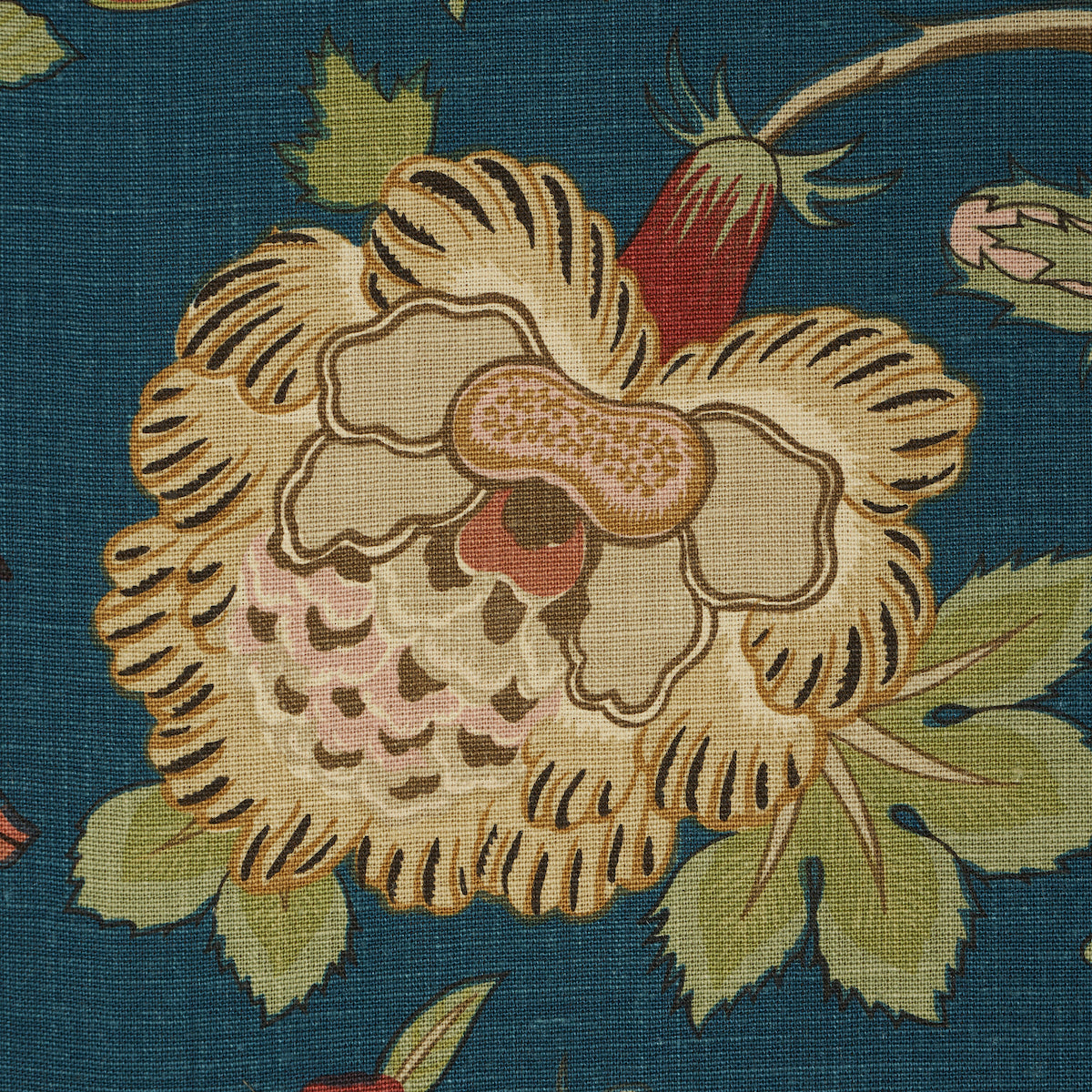 Eade’s PEACOCK