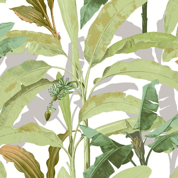 Galerie 18541 Green Banana Tree - Eade's Wallpaper