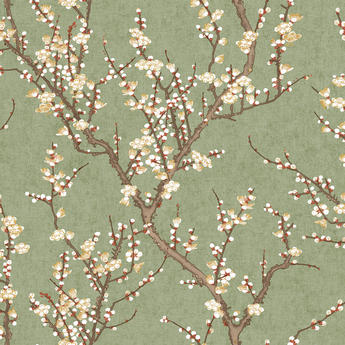 Galerie Spring Blossom Sakura Tree Green Wallpaper 1903-4