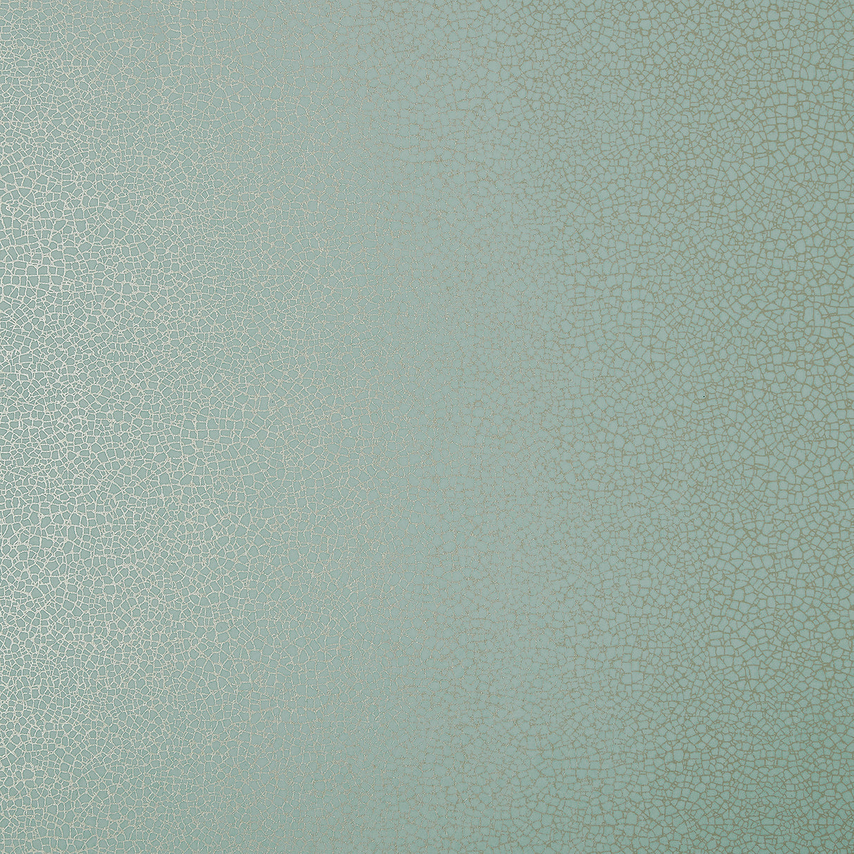 Eade’s # 05 NEO MINT