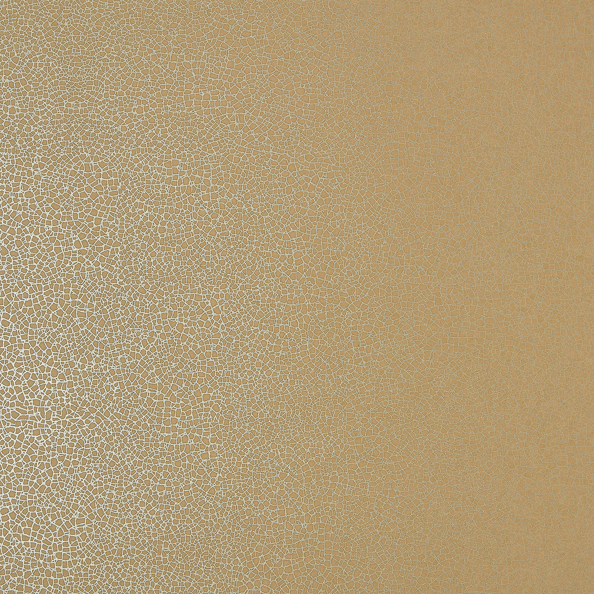 Eade’s # 07 MUSTARD