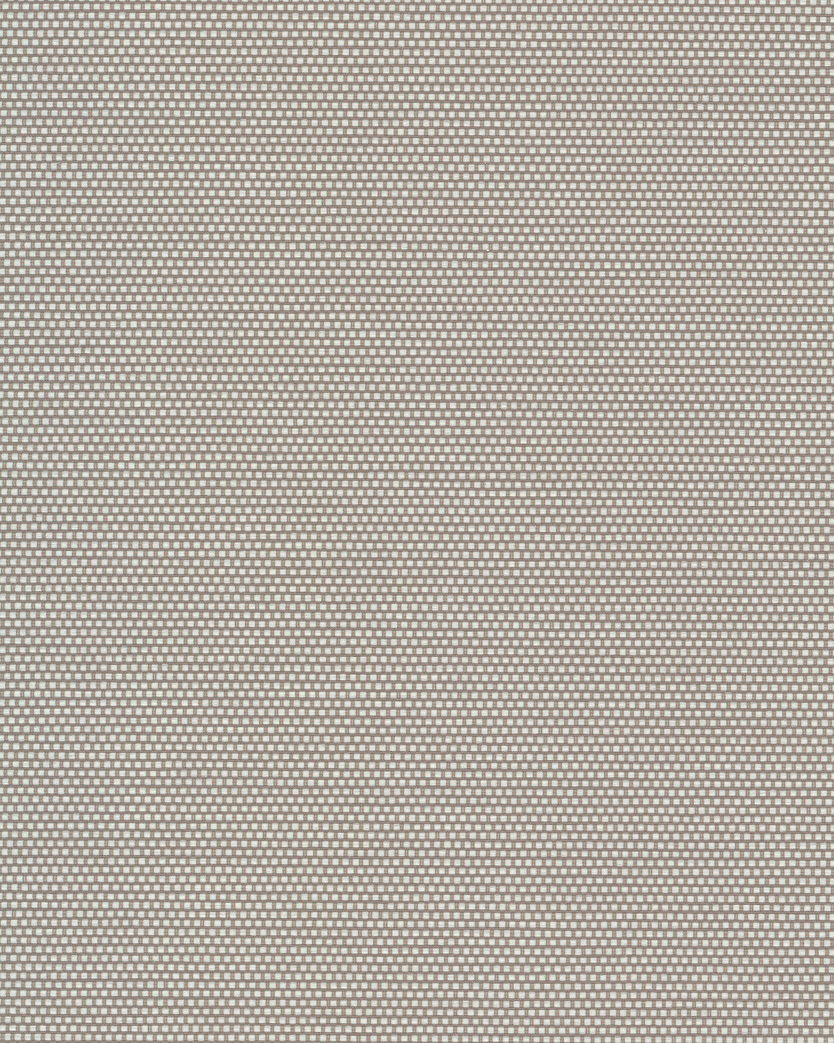 Eade’s Argent Husky Grey