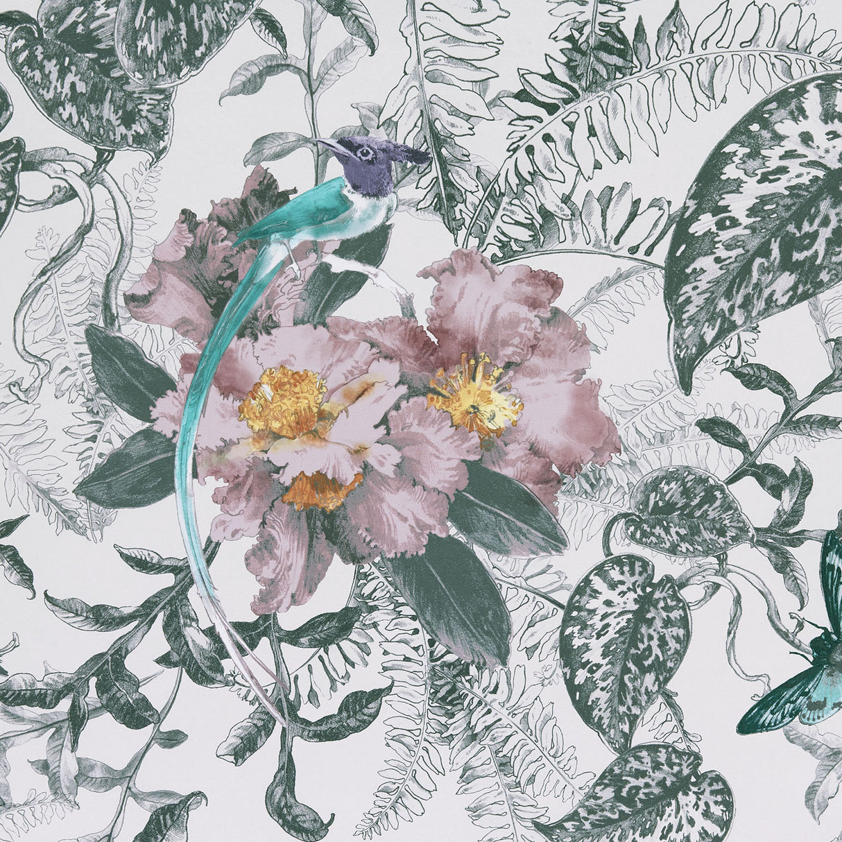 Eade’s # 05 CHAMOMILE