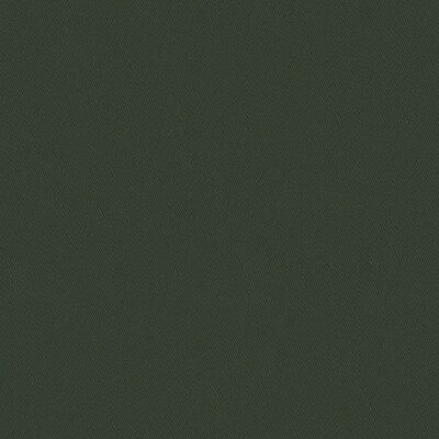 LEE JOFA 2016120.21.0 TWICKENHAM SILHOUETTE Fabric - Eade's Wallpaper