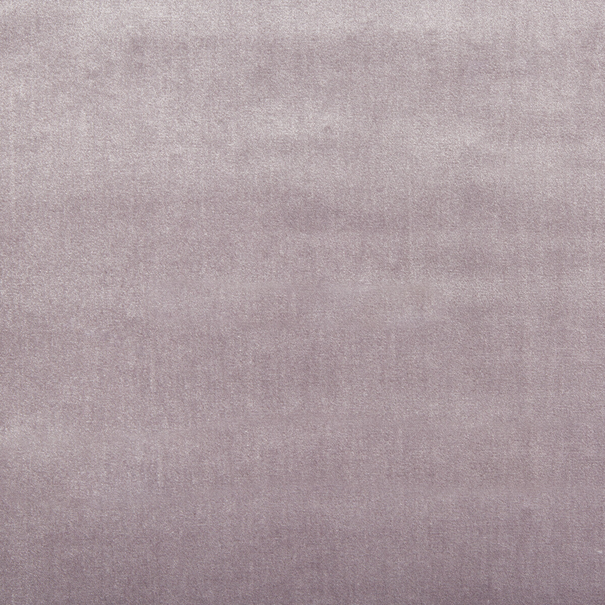 LEE JOFA 2016121.10.0 DUCHESS VELVET LILAC Fabric - Eade's Wallpaper