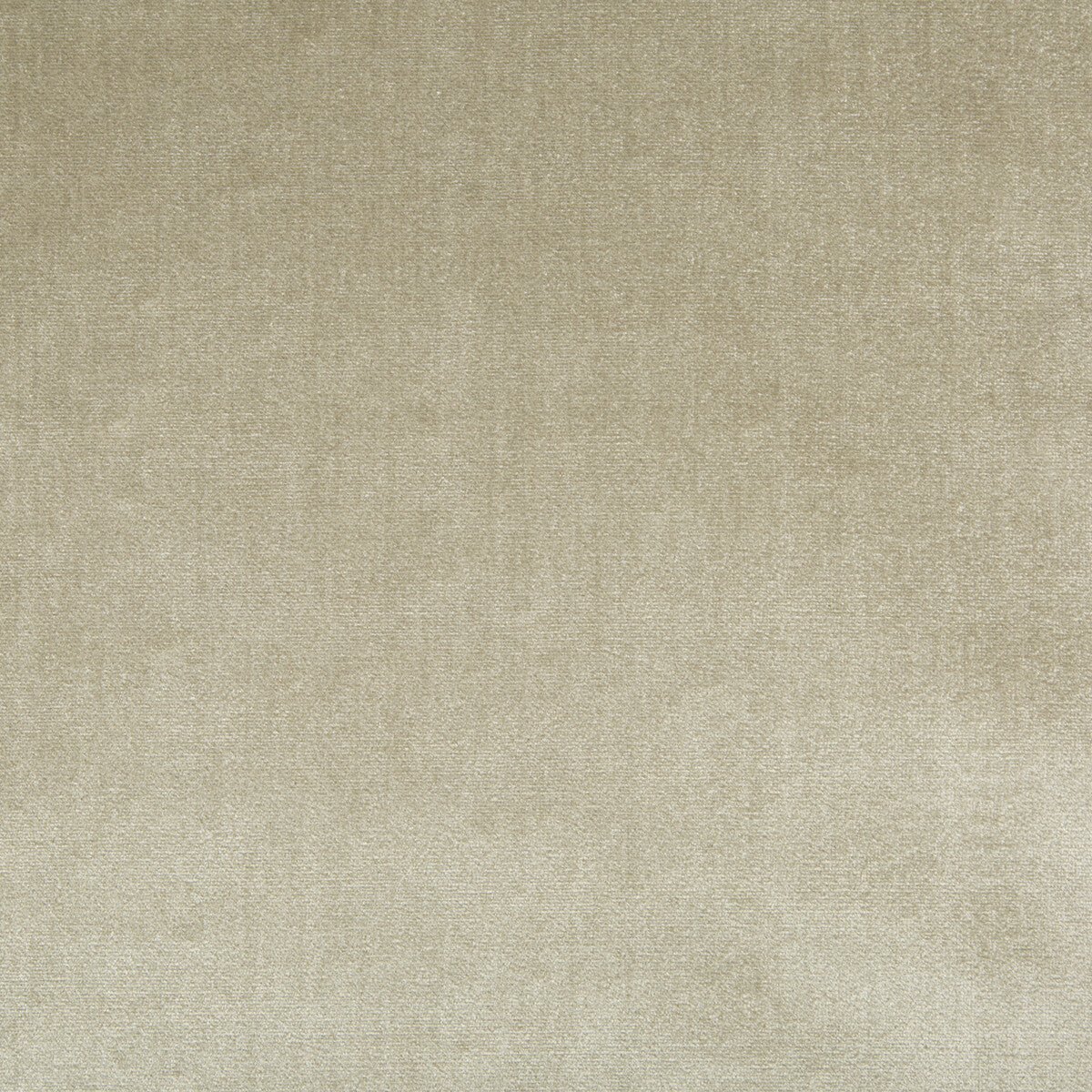 LEE JOFA 2016121.163.0 DUCHESS VELVET OYSTER Fabric - Eade's Wallpaper