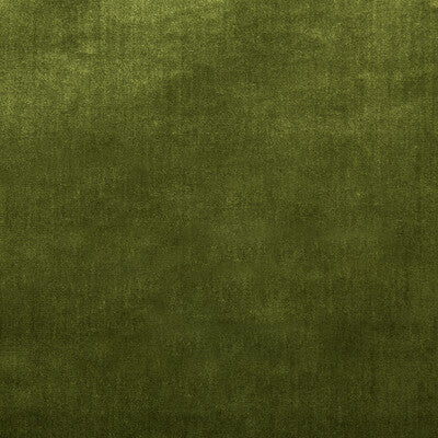 LEE JOFA 2016121.323.0 DUCHESS VELVET OLIVE Fabric - Eade's Wallpaper