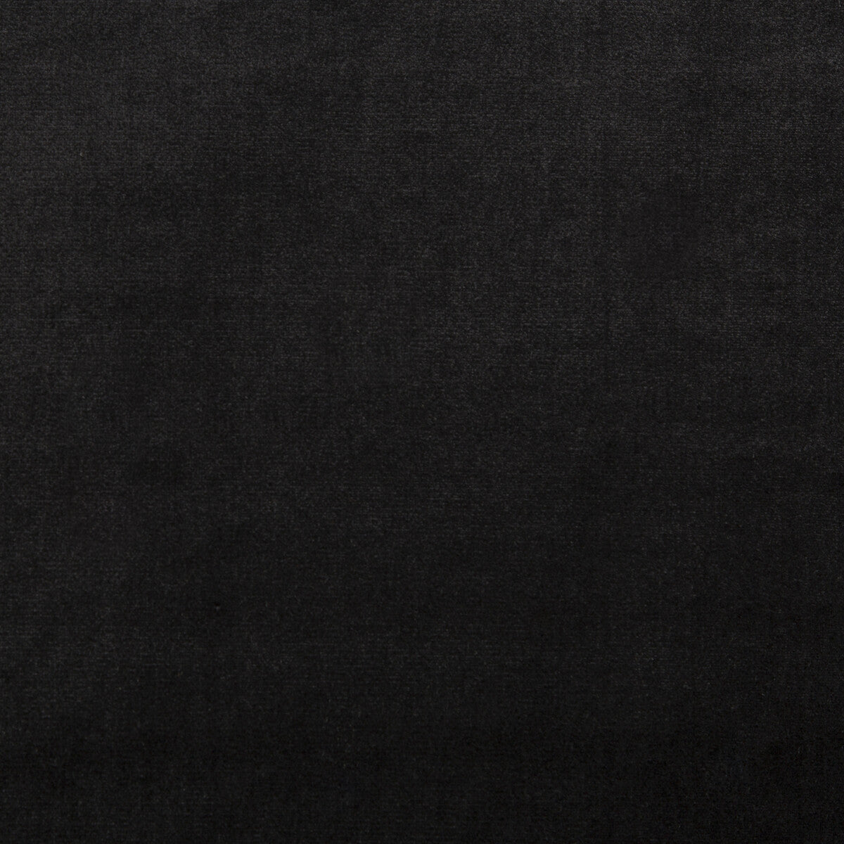 LEE JOFA 2016121.8.0 DUCHESS VELVET CAVIAR Fabric - Eade's Wallpaper