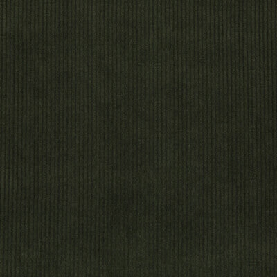 LEE JOFA 2017121.30.0 SARANAC CORD LODEN Fabric - Eade's Wallpaper