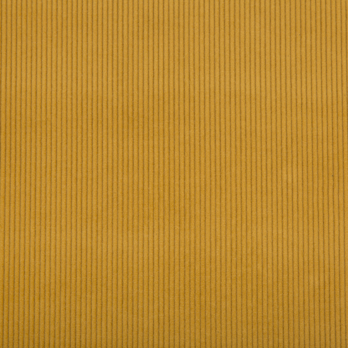 LEE JOFA 2017121.40.0 SARANAC CORD GOLD Fabric - Eade's Wallpaper