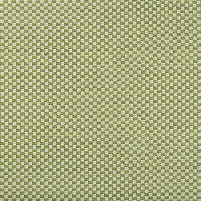 LEE JOFA 2018109.3.0 ALTURAS LEAF Fabric - Eade's Wallpaper