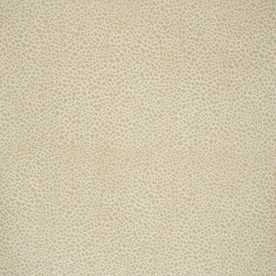 LEE JOFA 2020164.11.0 SAFARI COTTON LIGHT TAUPE Fabric - Eade's Wallpaper