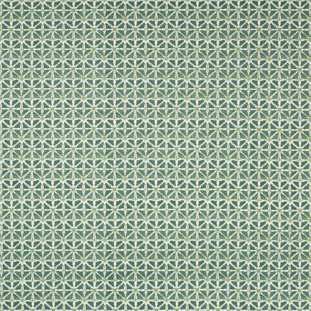 LEE JOFA 2020183.30.0 SYLVAN PRINT ALOE Fabric - Eade's Wallpaper