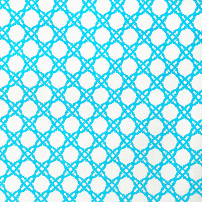 LEE JOFA 2025117.13.0 COASTAL CANE SEA Fabric - LILLY PULITZER III