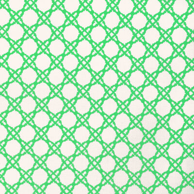 LEE JOFA 2025117.31.0 COASTAL CANE GREEN Fabric - LILLY PULITZER III