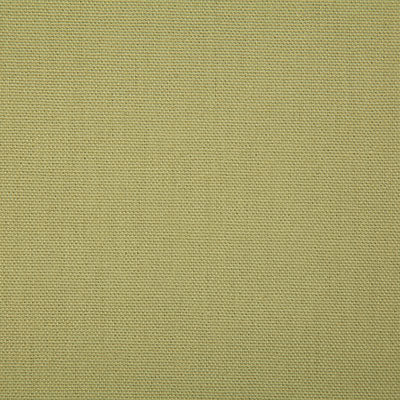 Pindler CALLAHAN OLIVE 2381 Fabric - Fabric Collection