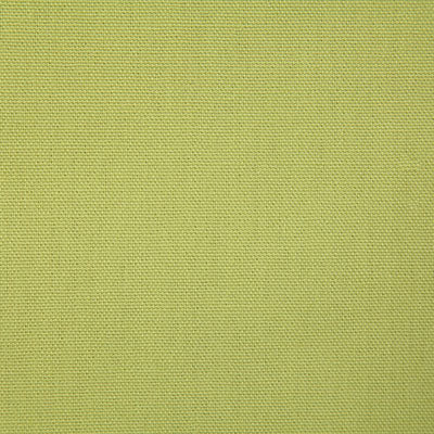 Pindler CALLAHAN PARROT 2381 Fabric - Fabric Collection