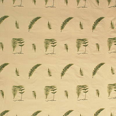 KRAVET COUTURE 25432.3.0 SOFT FERN IVY Fabric - Eade's Wallpaper