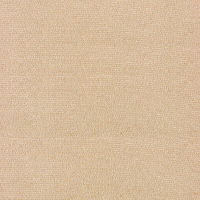 KRAVET DESIGN 25763.109.0 TERRY CHENILLE PEBBLE Fabric - Eade's Wallpaper