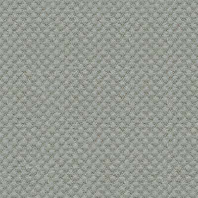 KRAVET DESIGN 25807.1121.0 KRAVET DESIGN 25807-1121 Fabric - Eade's Wallpaper