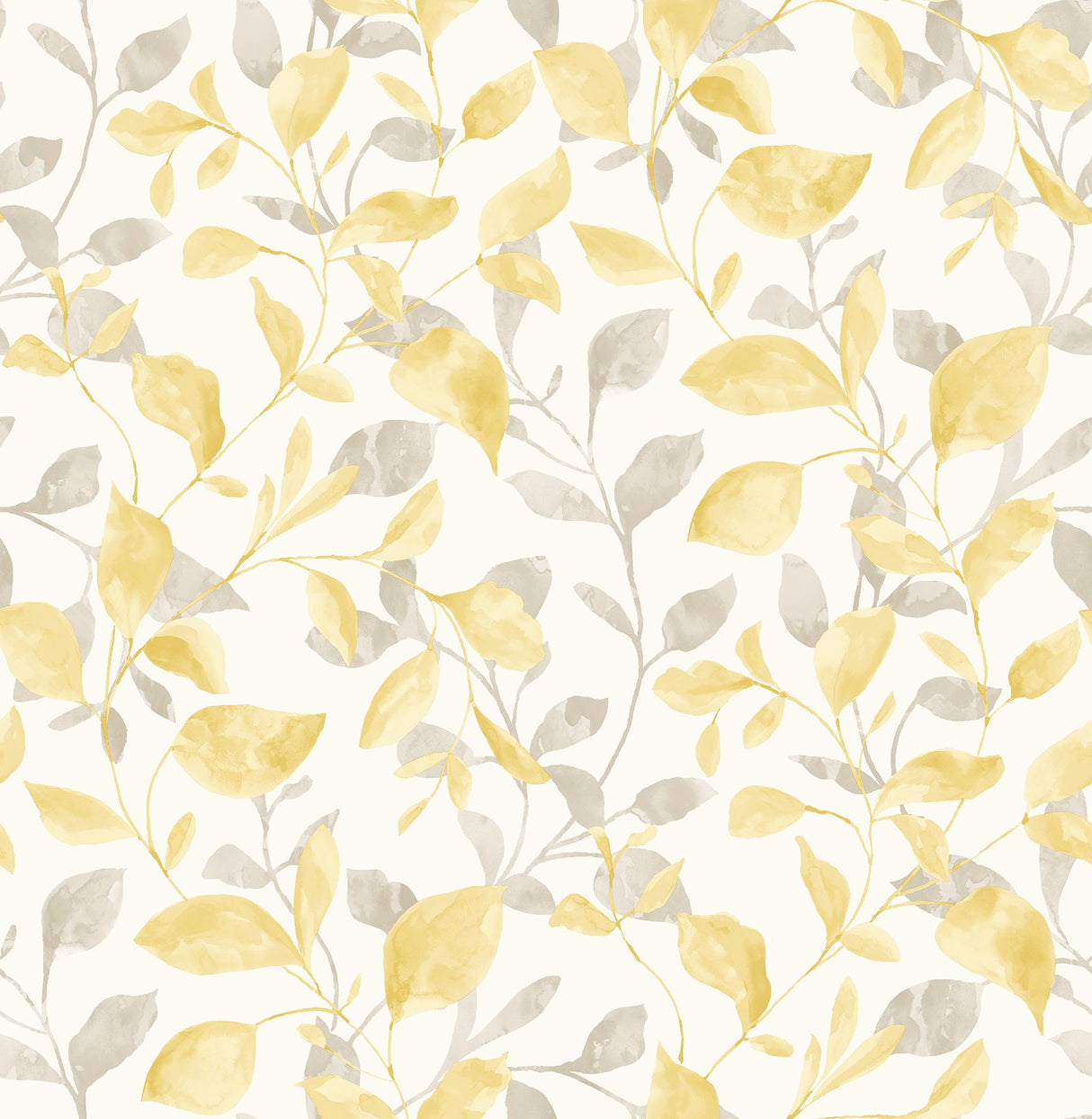 A-Street Prints 2656-004037 Catalina Trail Honey Vine Wallpaper