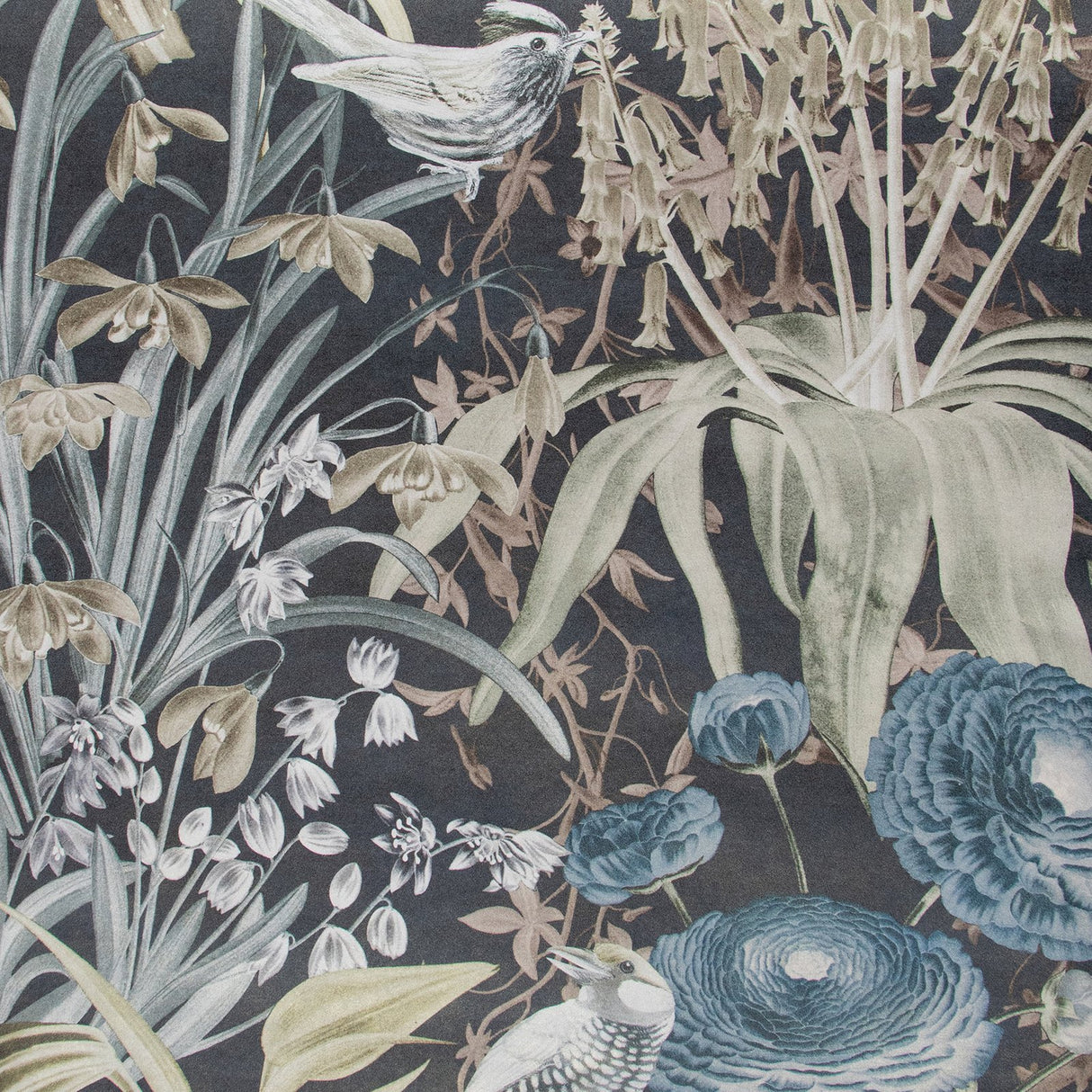 Eade's 26732-sample Orange