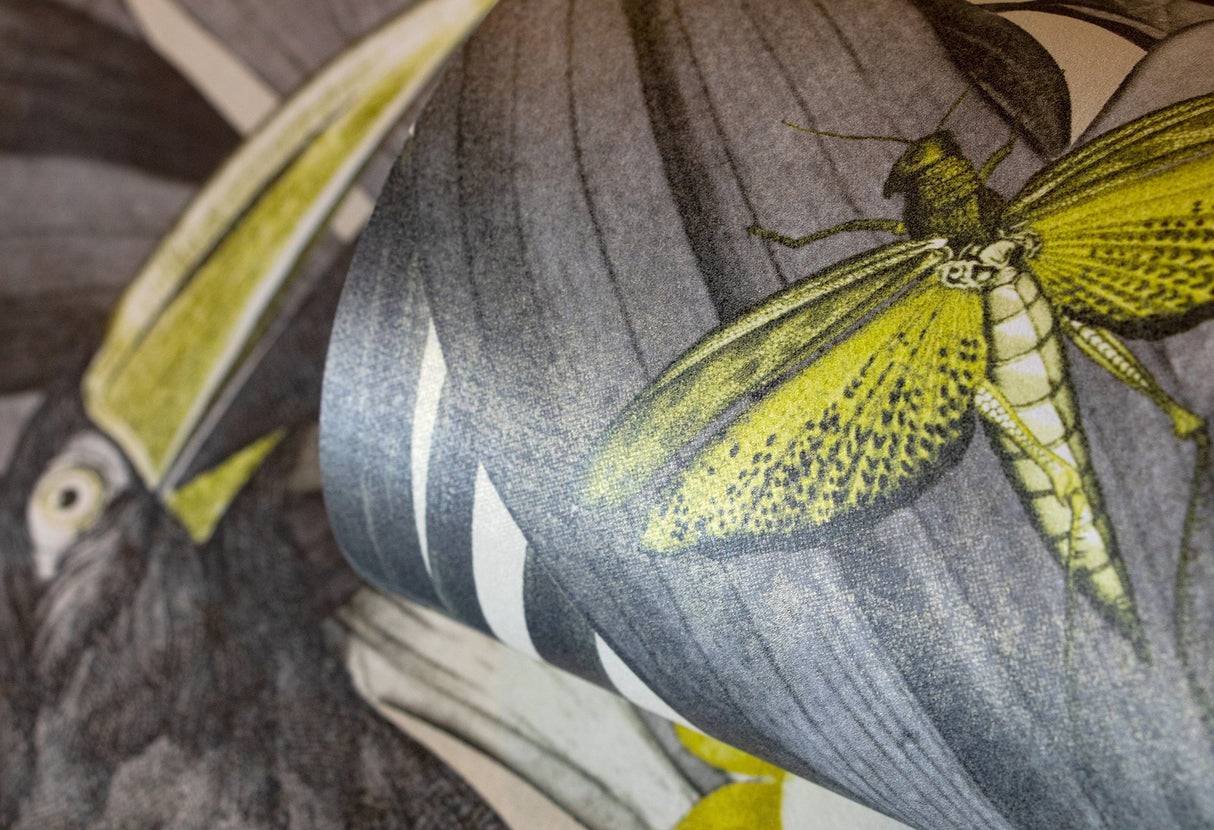 Eade's 26746-sample Bronze Brown