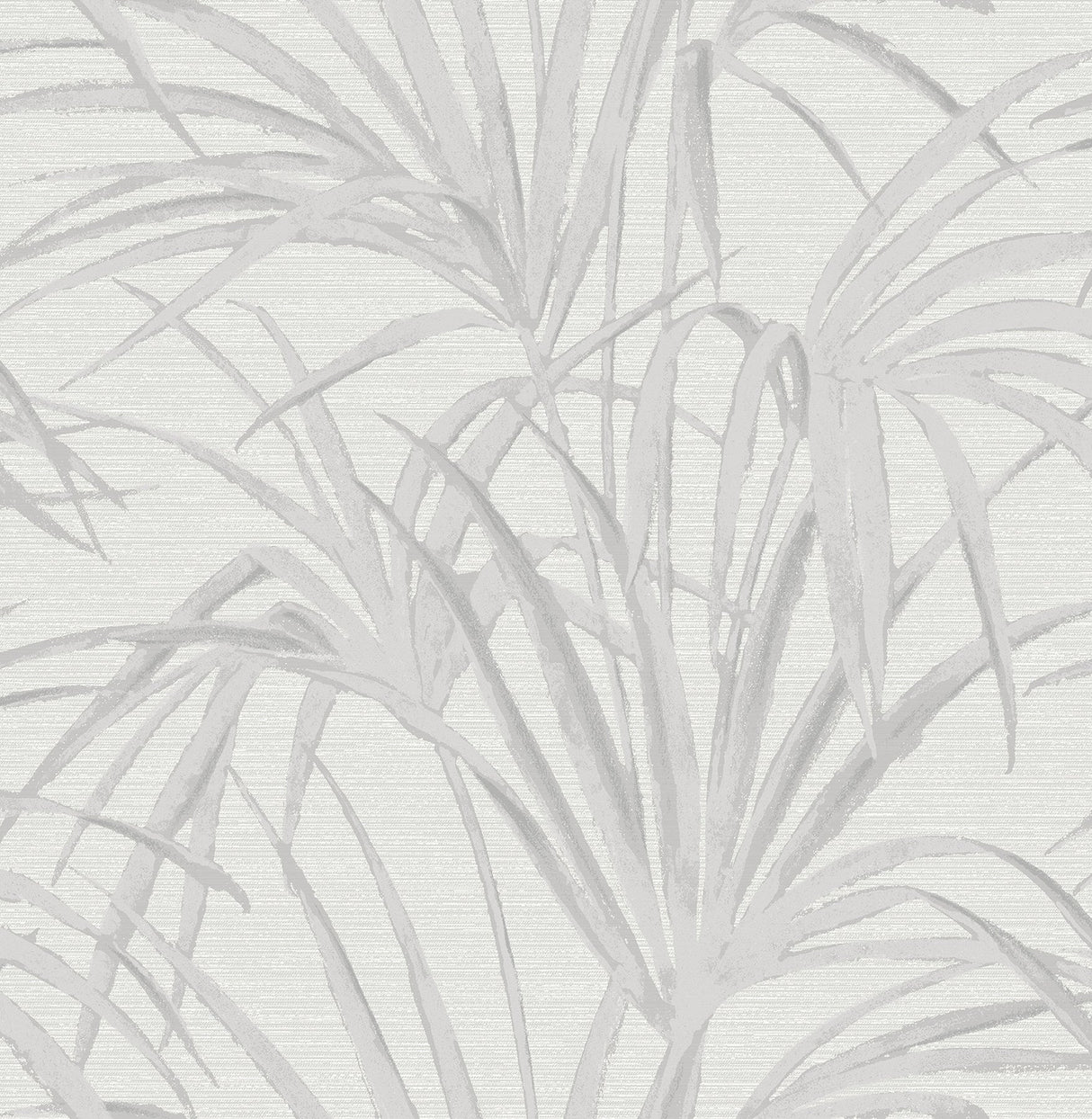 Brewster 2686-21720 Reed Grey Palm Wallpaper