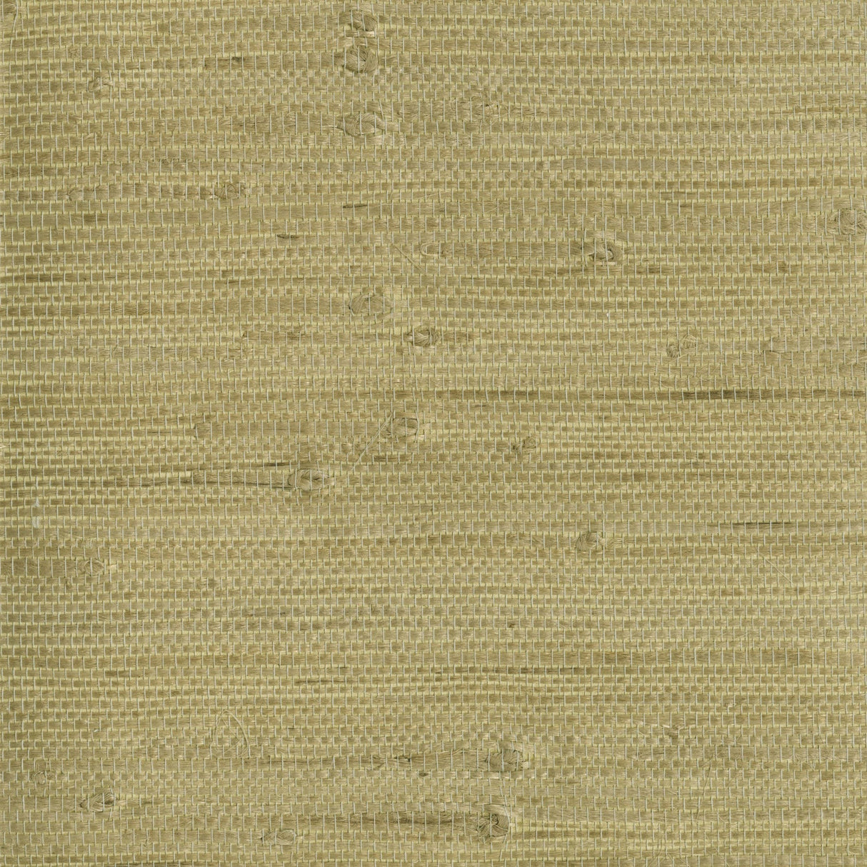 Kenneth James 2693-30212 Heisoku Celery Paper Weave Wallpaper