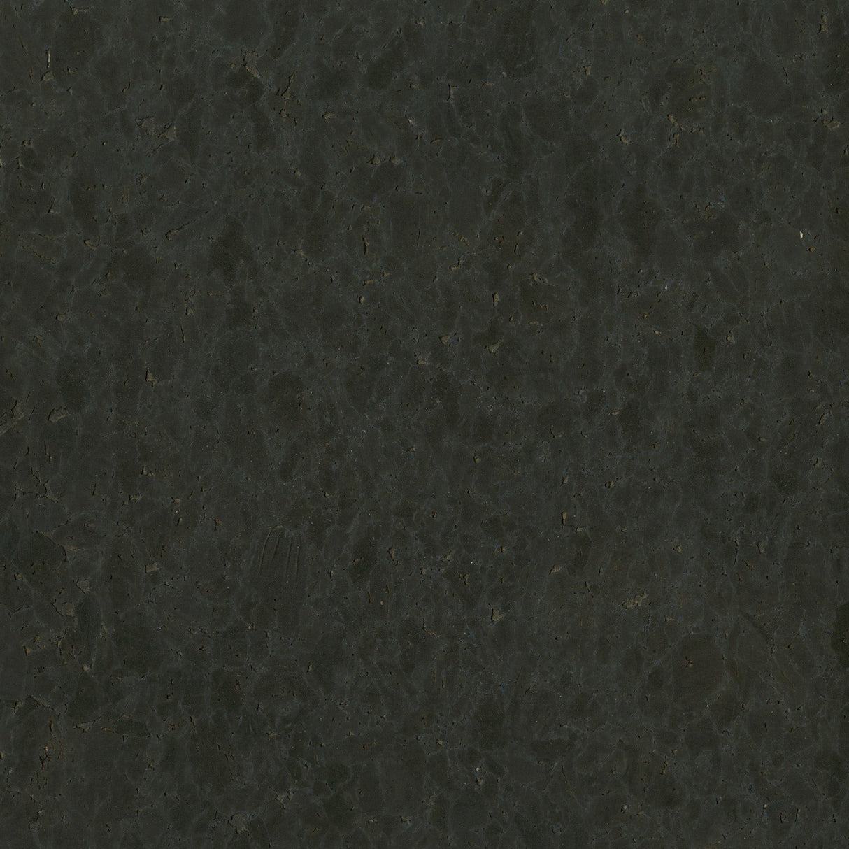 Kenneth James 2693-490500 Yakuso Black Wall Cork Wallpaper