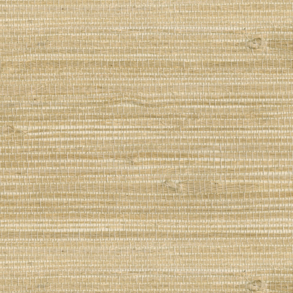 Kenneth James 2693-54725 Myoki Wheat Grasscloth Wallpaper