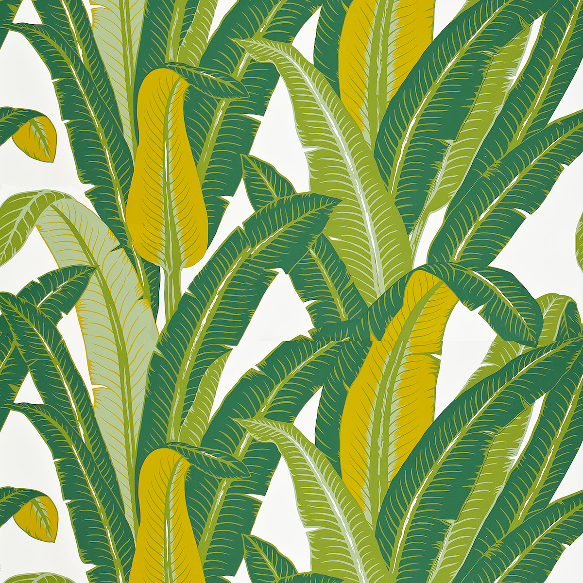 Eade’s GREEN ON WHITE