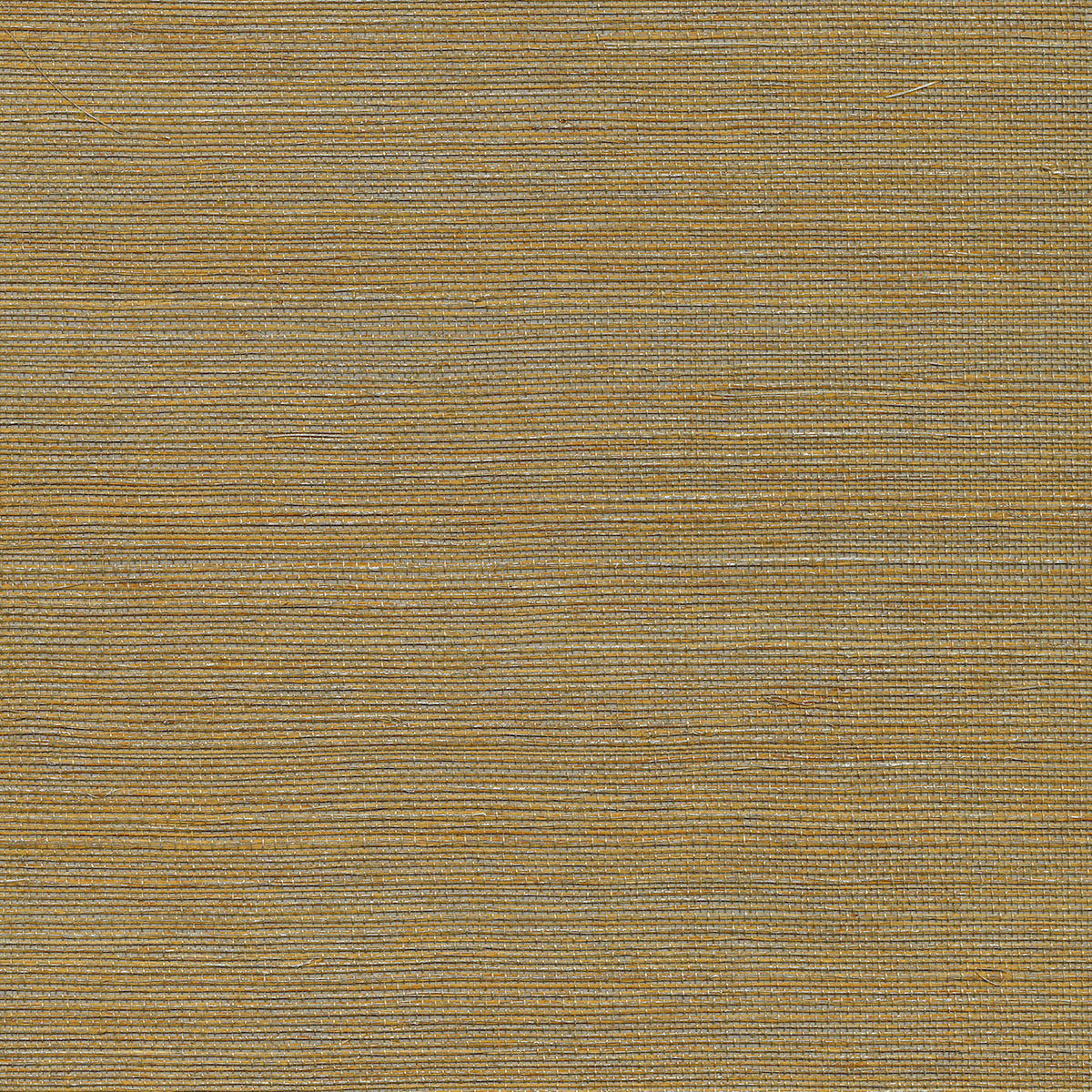 Kenneth James 2732-80009 Wallpaper - Eade's