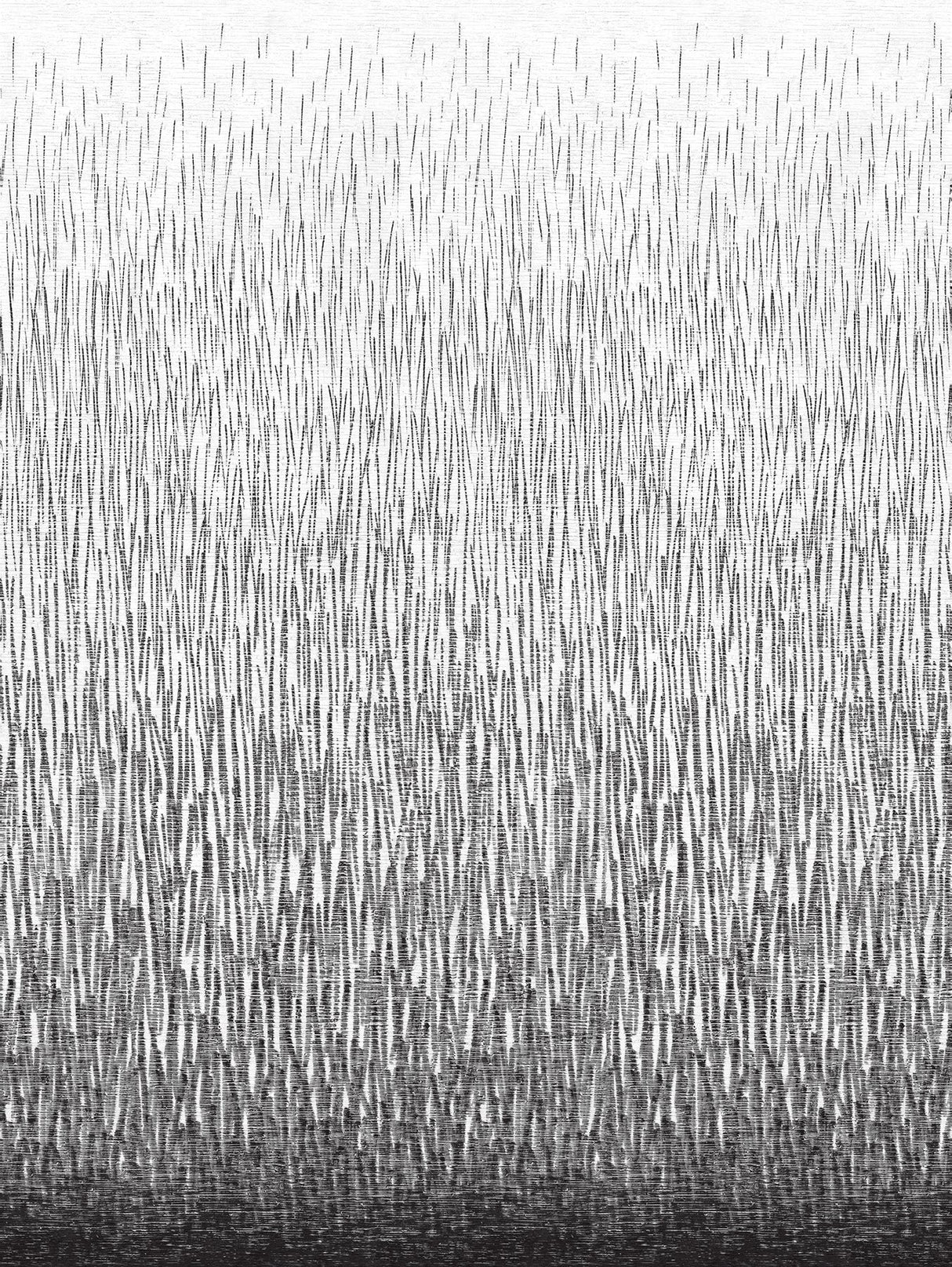 A-Street Prints 2764-24363 Amaya Black Wall Mural