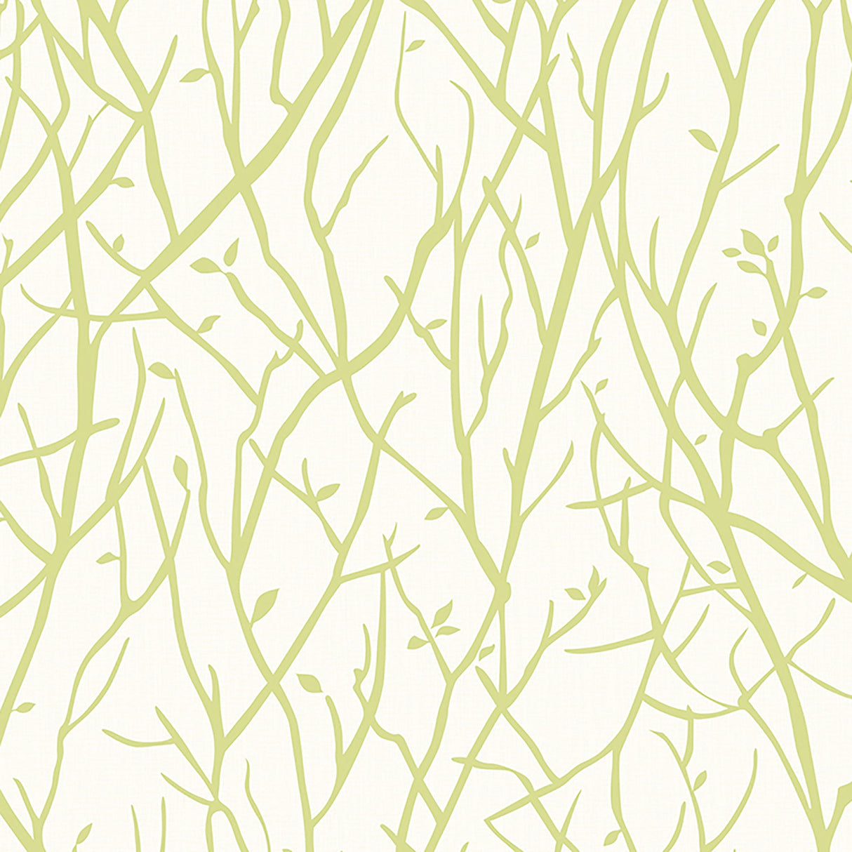 Advantage 2811-SY33021 Kaden Lime Branches Wallpaper