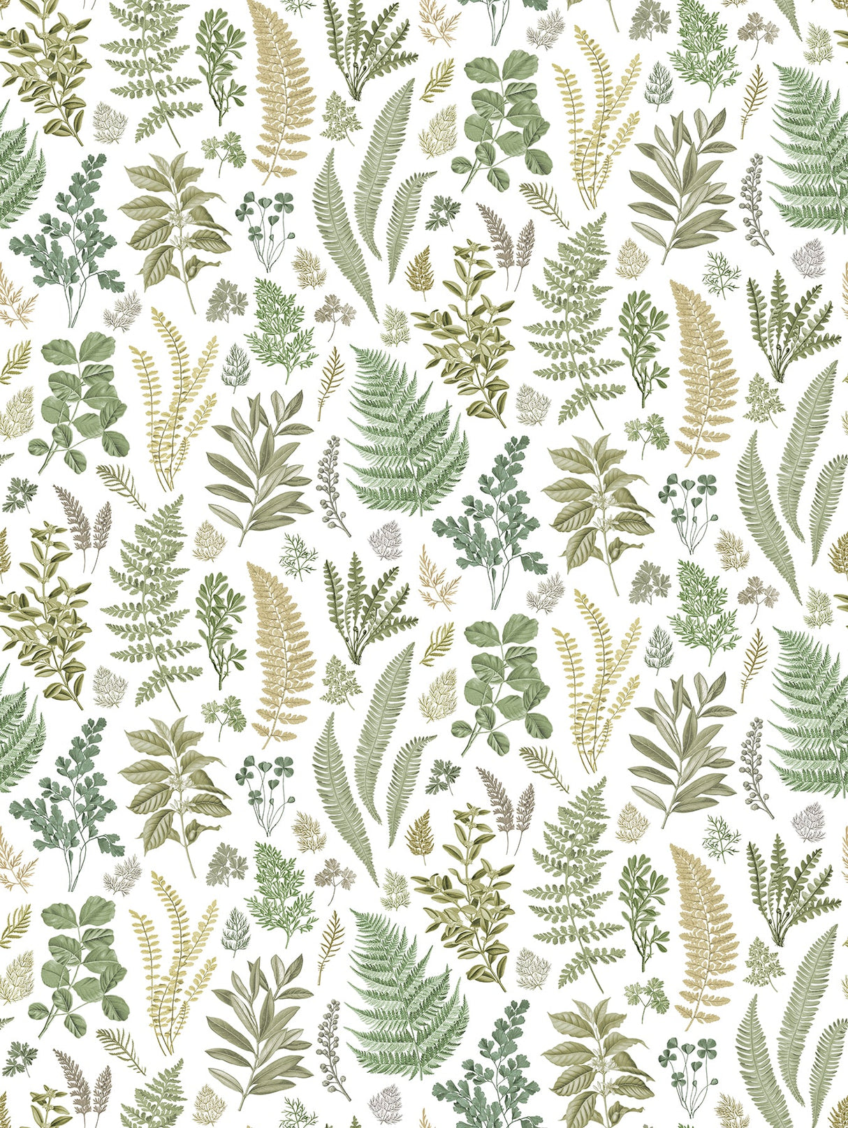 A-Street Prints 2821-SM25155 Britta Green Herbs Wall Mural