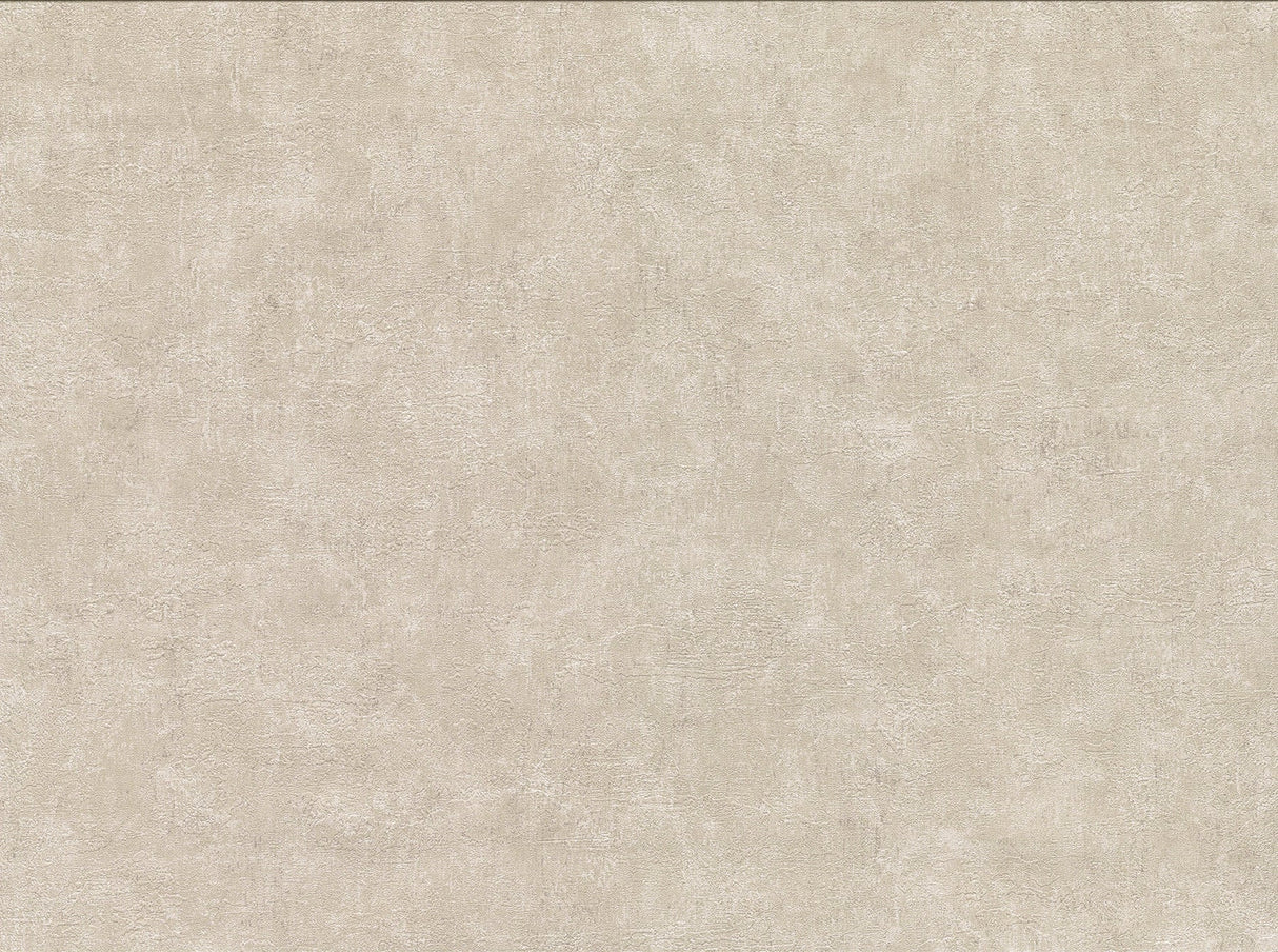 Warner Textures 2830-2743 Clegane Bone Plaster Texture Wallpaper