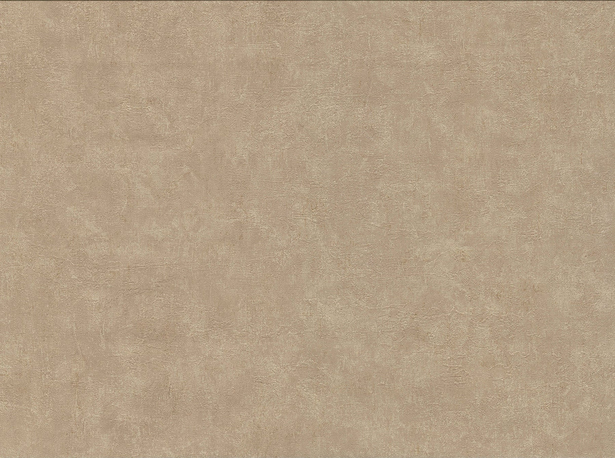 Warner Textures 2830-2744 Clegane Light Brown Plaster Texture Wallpaper