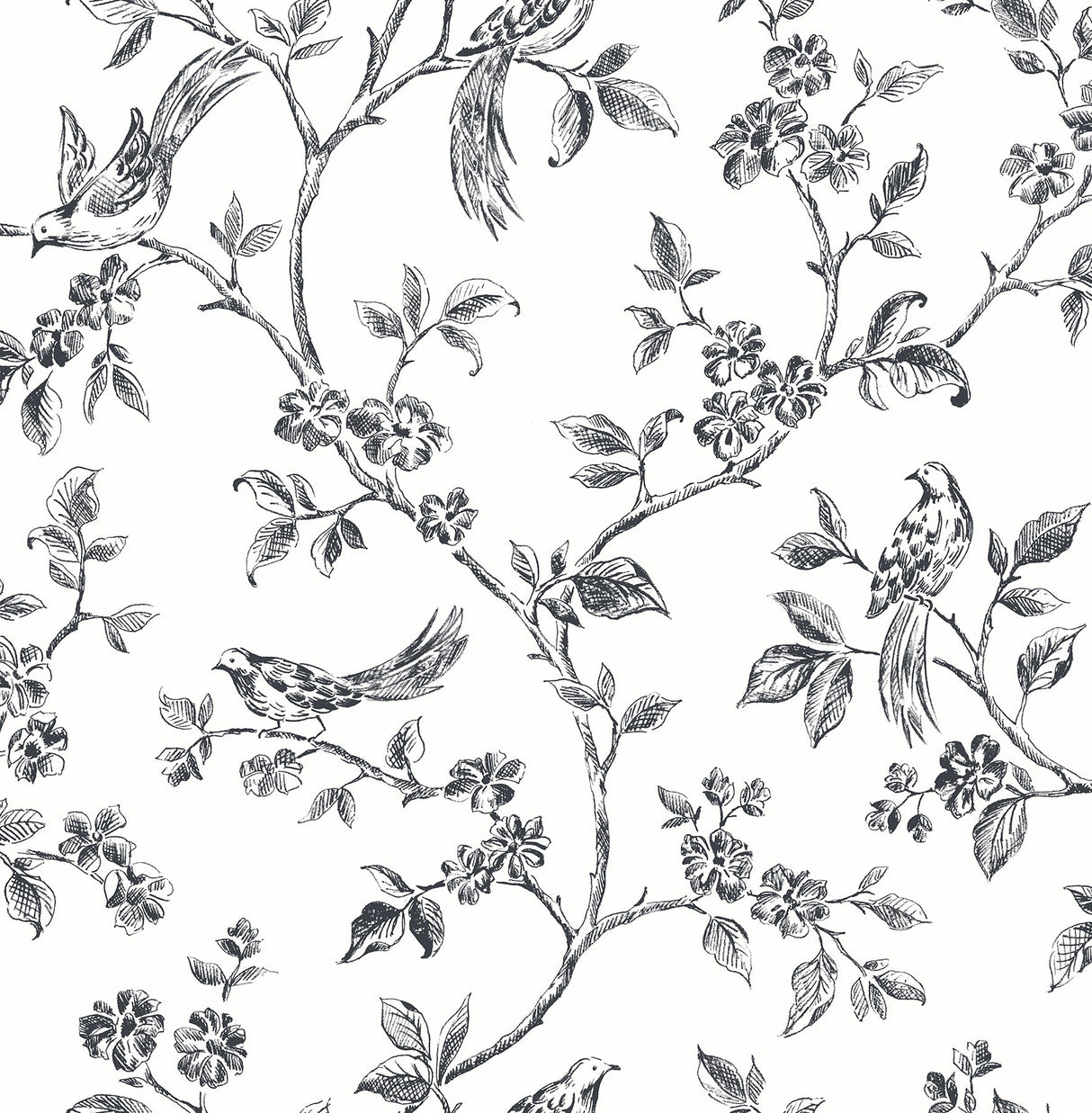 Advantage 2836-24976 Ophelia Black Bird Trail Wallpaper